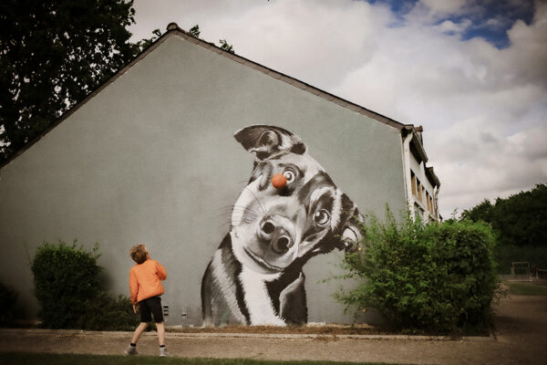 Gilles Petit-Gats - Le chien joueur